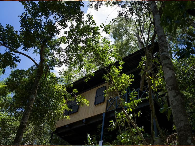 Centro LIS (Lar e Integração do ser)